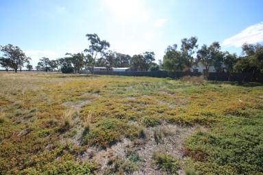 Residential Block For Sale - VIC - Rochester - 3561 - COUNCIL APPROVED SUBDIVISION OPPORTUNITY  (Image 2)