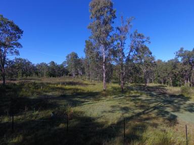 Mixed Farming Auction - NSW - Lower Dyraaba - 2470 - 100 ACRES & DWELLING - LOWER DYRAABA  (Image 2)