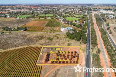 Other (Rural) For Sale - VIC - Red Cliffs - 3496 - Major Highway Exposure  (Image 2)