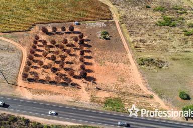 Other (Rural) For Sale - VIC - Red Cliffs - 3496 - Major Highway Exposure  (Image 2)