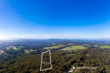 Residential Block For Sale - VIC - Gembrook - 3783 - Must be Sold - Make an Offer!  (Image 2)