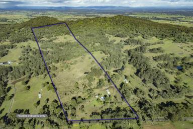 Other (Rural) Sold - NSW - Lambs Valley - 2335 - RURAL LIVING JUST OUTSIDE MAITLAND & THE HUNTER VALLEY  (Image 2)
