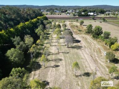 Residential Block Sold - QLD - Laidley - 4341 - Looking for something different on just over 2 Acres.  (Image 2)