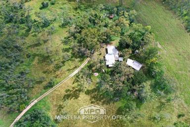 Lifestyle For Sale - QLD - Dimbulah - 4872 - THIS IS THE LIFE - YOUR OWN PEACEFUL, PASTORAL HIDEAWAY  (Image 2)