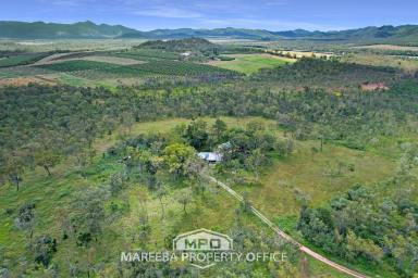 Lifestyle Sold - QLD - Dimbulah - 4872 - THIS IS THE LIFE - YOUR OWN PEACEFUL, PASTORAL HIDEAWAY  (Image 2)