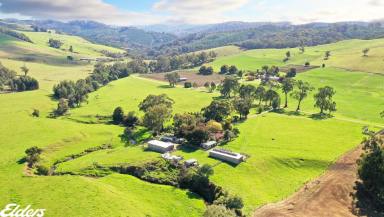 Farmlet For Sale - VIC - Won Wron - 3971 - PEACEFUL, PRIVATE SETTING WITH A RURAL OUTLOOK  (Image 2)