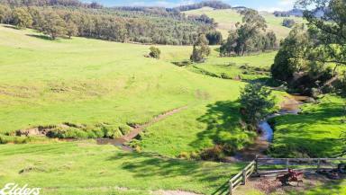 Farmlet For Sale - VIC - Won Wron - 3971 - PEACEFUL, PRIVATE SETTING WITH A RURAL OUTLOOK  (Image 2)