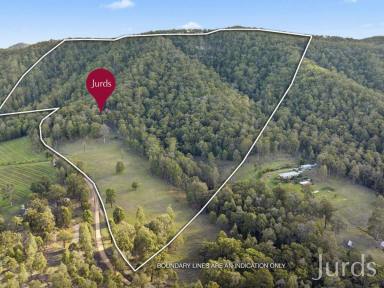 Lifestyle For Sale - NSW - Millfield - 2325 - HUNTER VALLEY HOMESTEAD & LIFESTYLE FARM / HOBBY FARM  (Image 2)