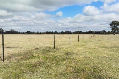 Other (Rural) For Sale - VIC - Euroa - 3666 - A "Blank Canvas" Opportunity to Craft Your Dream Lifestyle  (Image 2)