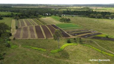 Cropping For Sale - QLD - Givelda - 4670 - GREAT LIFESTYLE WITH MULTIPLE REVENUE STREAMS!!  (Image 2)