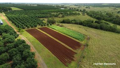 Cropping For Sale - QLD - Givelda - 4670 - GREAT LIFESTYLE WITH MULTIPLE REVENUE STREAMS!!  (Image 2)