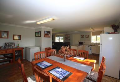 House For Sale - NSW - Inverell - 2360 - Equine Enthusiasts, Retiree or Hobby Farm  (Image 2)