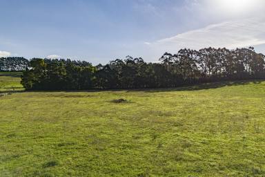 Lifestyle For Sale - VIC - Warragul South - 3821 - APPROX 4.16 ACRES--- APPROVED PLANNING PERMIT--- EDGE OF WARRAGUL TOWNSHIP  (Image 2)