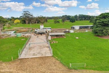 Dairy For Sale - VIC - Taroon - 3265 - Highly Productive Generational Dairy Farm 390 Acres / 157.82HA  (Image 2)