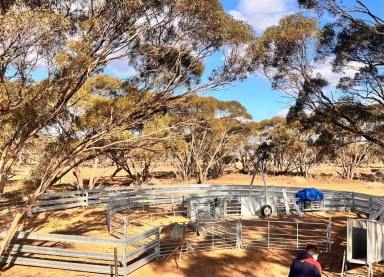 Mixed Farming For Sale - SA - Brownlow - 5374 - EXCEPTIONAL SMALL FARMING PROPERTY  (Image 2)