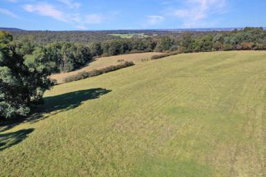 Other (Rural) For Sale - VIC - Flaggy Creek - 3875 - Lifestyle Block with Rural Views  (Image 2)