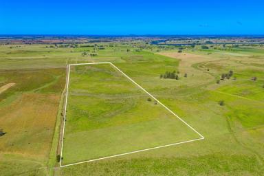 Residential Block For Sale - NSW - Bellimbopinni - 2440 - Prime Farming Land with Sweeping Views  (Image 2)