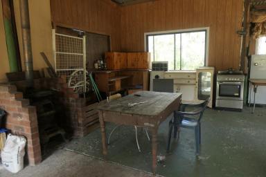 Lifestyle For Sale - NSW - Drake - 2469 - THUNDERBOLTS HIDEOUT  (Image 2)