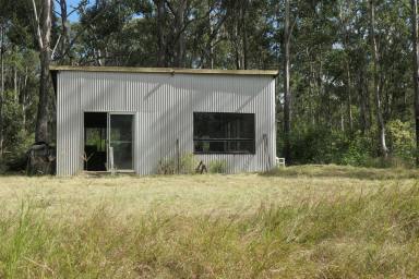 Lifestyle For Sale - NSW - Drake - 2469 - THUNDERBOLTS HIDEOUT  (Image 2)