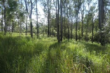 Lifestyle Sold - NSW - Drake - 2469 - THUNDERBOLTS HIDEOUT  (Image 2)