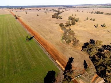 Cropping For Sale - NSW - West Wyalong - 2671 - Productive Red Loam Soils Suited To Broadacre Farming  (Image 2)