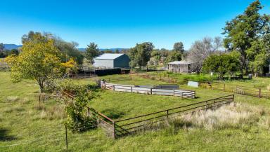 Mixed Farming Sold - NSW - Boggabri - 2382 - WANDO - FOR DEFINITE & OUTRIGHT SALE TO FACILITATE IMMEDIATE RETIREMENT  (Image 2)