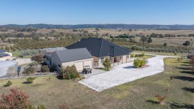 Other (Rural) For Sale - NSW - Wimbledon - 2795 - Executive living - Rural Lifestyle  (Image 2)