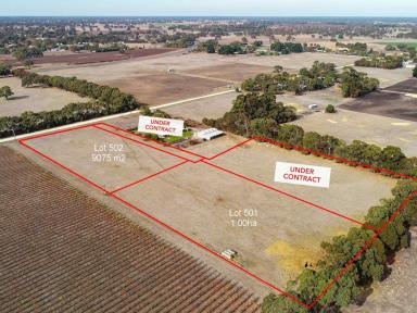 Residential Block For Sale - SA - Penola - 5277 - Your ultimate lifestyle awaits  (Image 2)