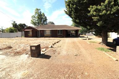 House For Sale - WA - Wagin - 6315 - Good size 3x1 Brick & Tile looking for love!  (Image 2)