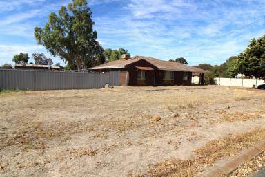 House For Sale - WA - Wagin - 6315 - Good size 3x1 Brick & Tile looking for love!  (Image 2)