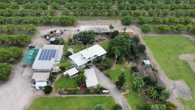 Lifestyle For Sale - QLD - Horseshoe Lagoon - 4809 - 5 Acres with around 100 Mango Trees  (Image 2)