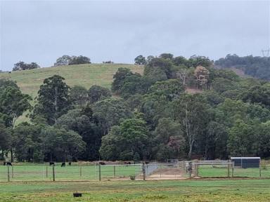 Mixed Farming For Sale - WA - Cookernup - 6219 - HELIOS RISE IN THE PRISTINE SOUTHWEST  (Image 2)