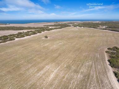Mixed Farming For Sale - SA - Foul Bay - 5577 - Sited on 43.8HA of Farm Land with Shed * Spectacular scenic & coastal views to Kangaroo Island * Water licence * Million $ views with-out the price *  (Image 2)