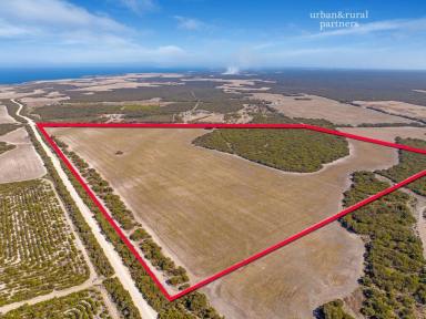 Mixed Farming For Sale - SA - Foul Bay - 5577 - Sited on 43.8HA of Farm Land with Shed * Spectacular scenic & coastal views to Kangaroo Island * Water licence * Million $ views with-out the price *  (Image 2)