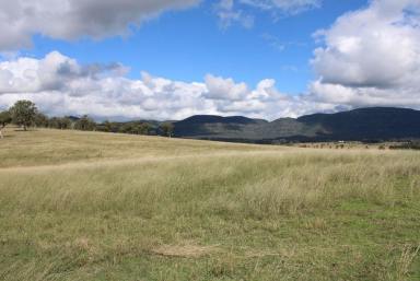 Livestock Sold - NSW - Jerrys Plains - 2330 - Lifestyle & Livestock ! Set in picturesque cattle country, in the heart of the Hunter Valley this grazing/ lifestyle block is sure to impress  (Image 2)