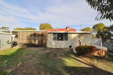 House For Sale - WA - Wagin - 6315 - Spick & Span 3x1 With Sheds  Galore!!!!!  (Image 2)
