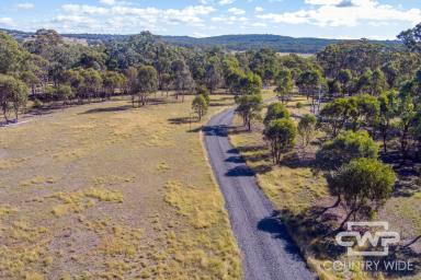 Lifestyle For Sale - NSW - Wellingrove - 2370 - Lifestyle Retreat  (Image 2)