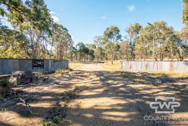 Lifestyle For Sale - NSW - Wellingrove - 2370 - Lifestyle Retreat  (Image 2)