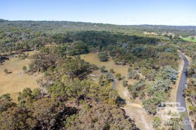 Lifestyle For Sale - NSW - Wellingrove - 2370 - Lifestyle Retreat  (Image 2)