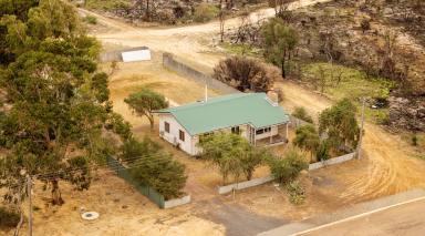 House For Sale - WA - Munglinup - 6450 - Country Opportunity  (Image 2)