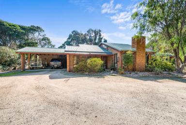 Acreage/Semi-rural For Sale - VIC - Kalimna - 3909 - Development Potential Or Lifestyle Adventure  (Image 2)