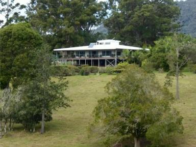 Mixed Farming For Sale - NSW - Midginbil - 2484 - BYRON ON YOUR DOORSTEP  (Image 2)