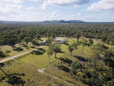 Livestock For Sale - QLD - North Aramara - 4620 - OFFGRID 316 ACRES OF RURAL LIFESTYLE  (Image 2)