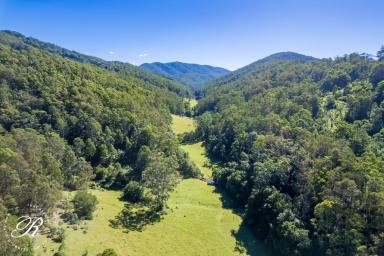 Other (Rural) For Sale - NSW - Monkerai - 2415 - Acreage Dreams  (Image 2)