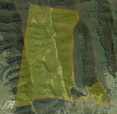 Other (Rural) For Sale - NSW - Monkerai - 2415 - Acreage Dreams  (Image 2)