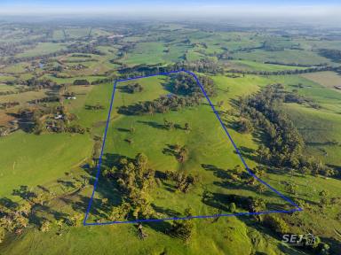 Other (Rural) For Sale - VIC - Meeniyan - 3956 - A SHELTERED 60 ACRES OF GRAZING!  (Image 2)