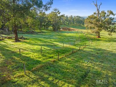 Other (Rural) For Sale - VIC - Meeniyan - 3956 - A SHELTERED 60 ACRES OF GRAZING!  (Image 2)