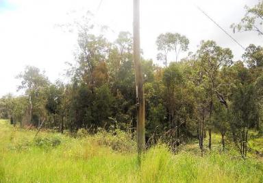 Residential Block For Sale - QLD - Ravenshoe - 4888 - Just over 15 acres of woodland.  (Image 2)