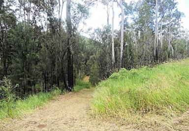 Residential Block For Sale - QLD - Ravenshoe - 4888 - Just over 15 acres of woodland.  (Image 2)