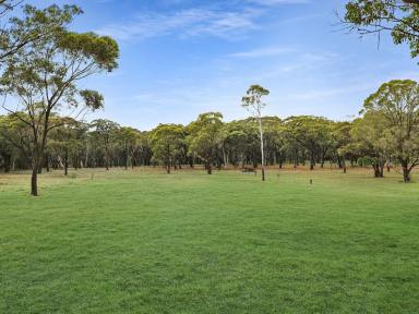 Residential Block For Sale - NSW - Wingello - 2579 - Wildwood Estate - A Beautiful Area To Reside  (Image 2)